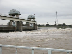 台風の後の水量の多い多摩川のある堰です。